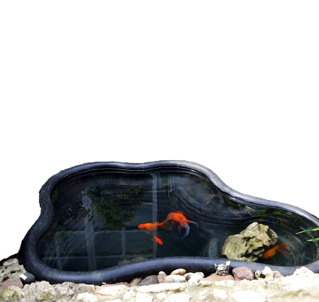 Декоративные садовые пруды